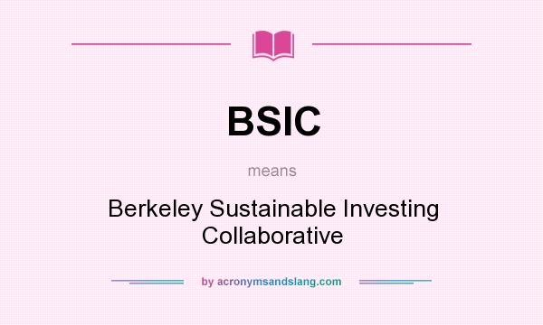 What does BSIC mean? It stands for Berkeley Sustainable Investing Collaborative