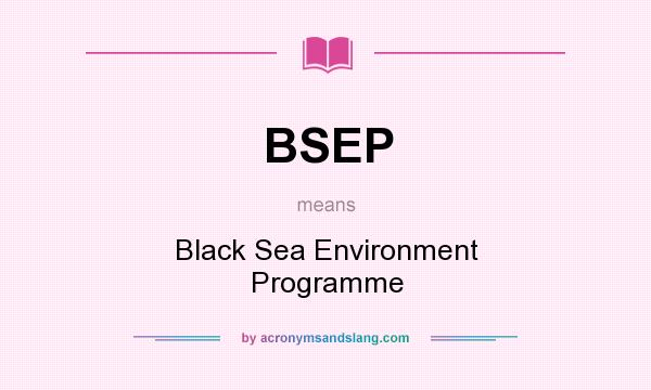 What does BSEP mean? It stands for Black Sea Environment Programme