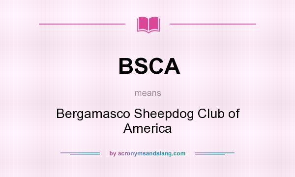 What does BSCA mean? It stands for Bergamasco Sheepdog Club of America