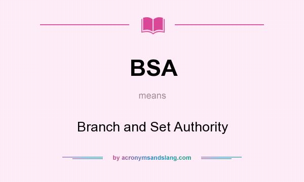 What does BSA mean? It stands for Branch and Set Authority