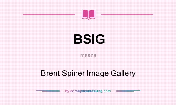 What does BSIG mean? It stands for Brent Spiner Image Gallery