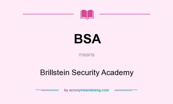 What does BSA mean? It stands for Brillstein Security Academy