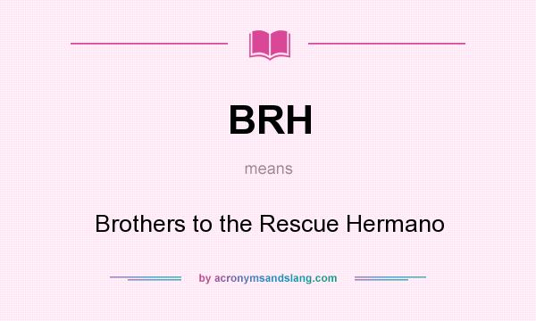 What does BRH mean? It stands for Brothers to the Rescue Hermano
