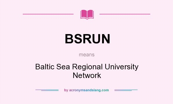 What does BSRUN mean? It stands for Baltic Sea Regional University Network
