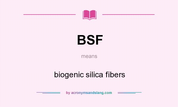 What does BSF mean? It stands for biogenic silica fibers