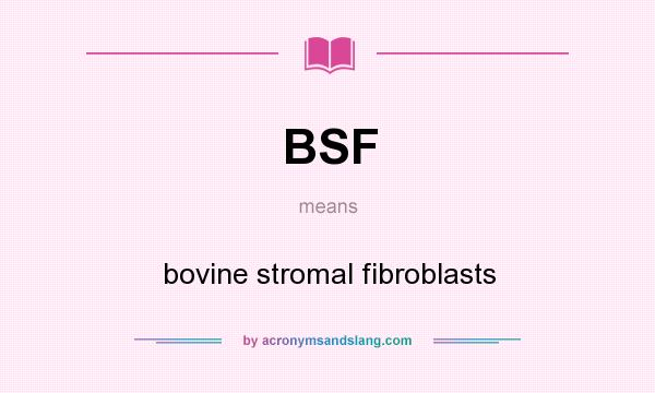 What does BSF mean? It stands for bovine stromal fibroblasts