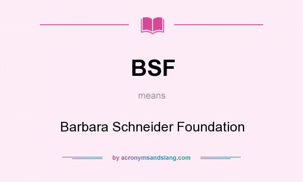 What does BSF mean? It stands for Barbara Schneider Foundation