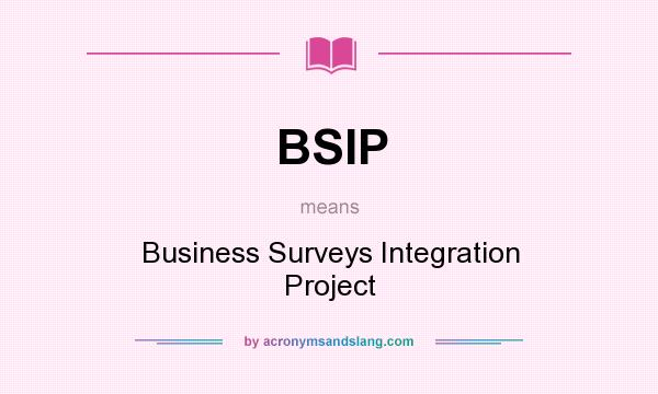 What does BSIP mean? It stands for Business Surveys Integration Project