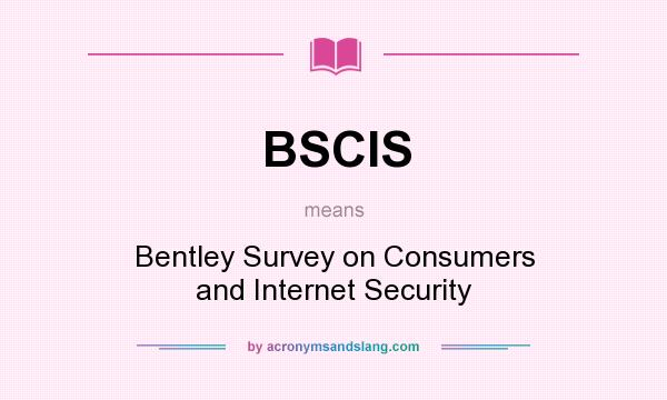 What does BSCIS mean? It stands for Bentley Survey on Consumers and Internet Security