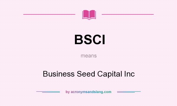 What does BSCI mean? It stands for Business Seed Capital Inc