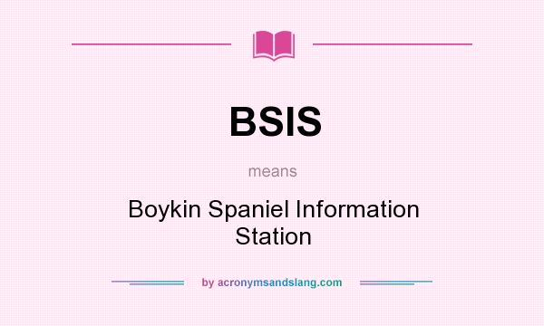 What does BSIS mean? It stands for Boykin Spaniel Information Station