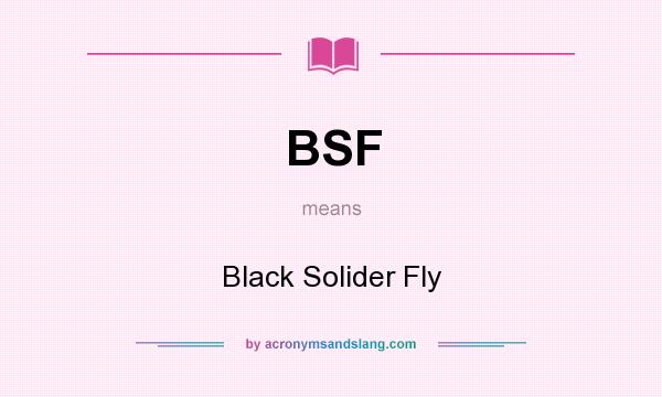 What does BSF mean? It stands for Black Solider Fly