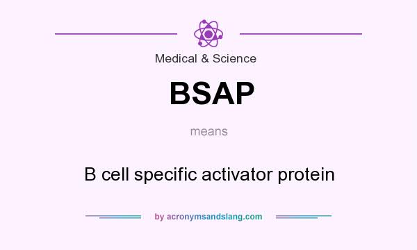 What does BSAP mean? It stands for B cell specific activator protein