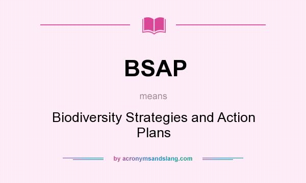 What does BSAP mean? It stands for Biodiversity Strategies and Action Plans