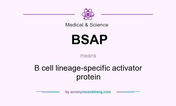 What does BSAP mean? It stands for B cell lineage-specific activator protein