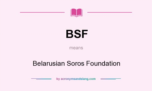 What does BSF mean? It stands for Belarusian Soros Foundation