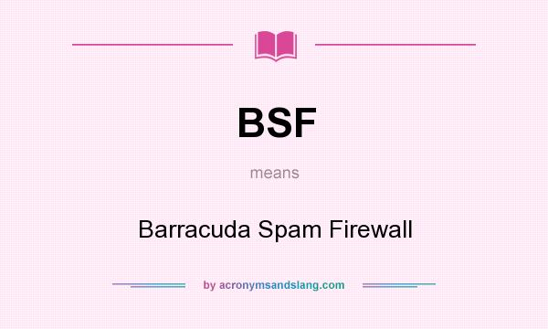 What does BSF mean? It stands for Barracuda Spam Firewall