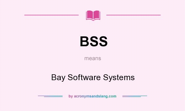 What does BSS mean? It stands for Bay Software Systems