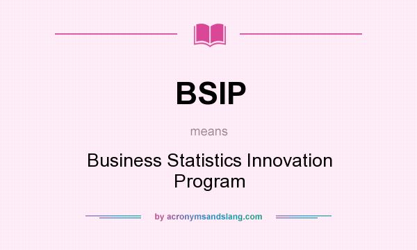 What does BSIP mean? It stands for Business Statistics Innovation Program