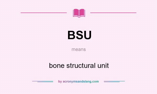 What does BSU mean? It stands for bone structural unit
