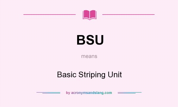 What does BSU mean? It stands for Basic Striping Unit