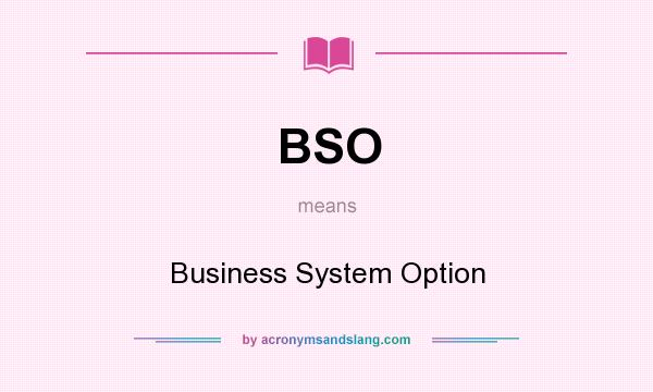 What does BSO mean? It stands for Business System Option