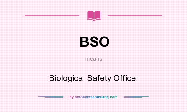 What does BSO mean? It stands for Biological Safety Officer