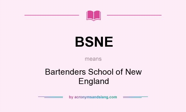 What does BSNE mean? It stands for Bartenders School of New England