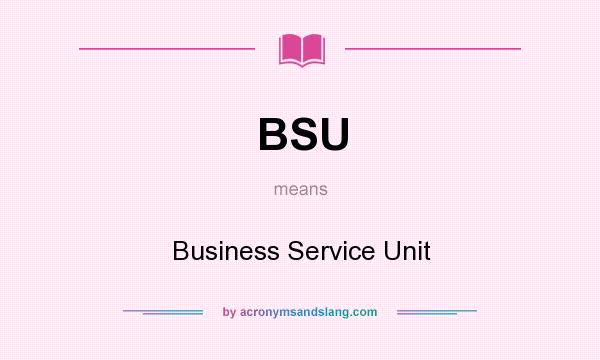 What does BSU mean? It stands for Business Service Unit