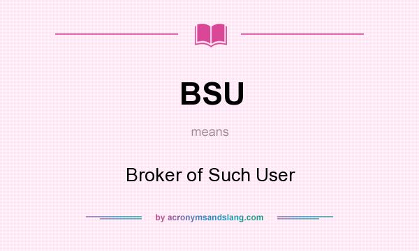 What does BSU mean? It stands for Broker of Such User
