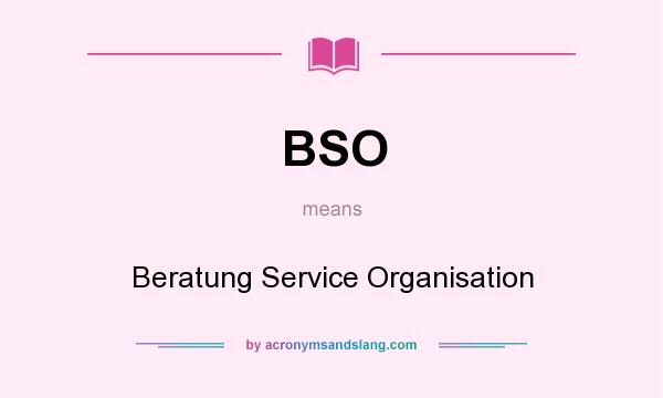 What does BSO mean? It stands for Beratung Service Organisation