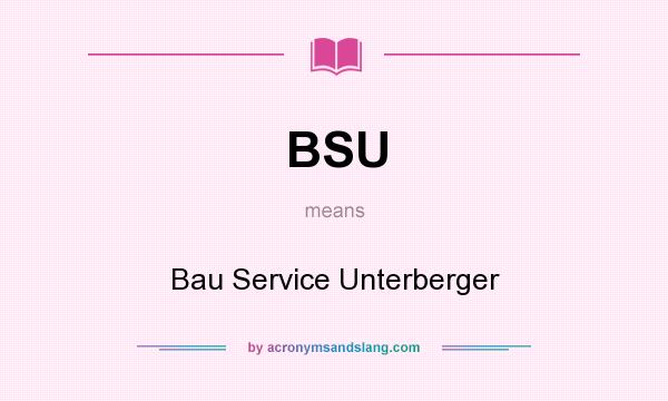 What does BSU mean? It stands for Bau Service Unterberger
