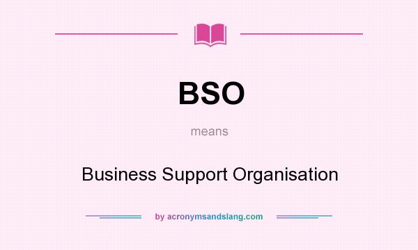 What does BSO mean? It stands for Business Support Organisation