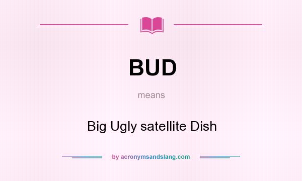 What does BUD mean? It stands for Big Ugly satellite Dish