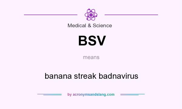 What does BSV mean? It stands for banana streak badnavirus