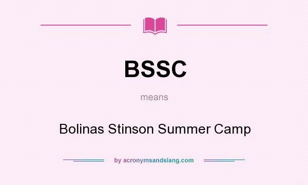 What does BSSC mean? It stands for Bolinas Stinson Summer Camp
