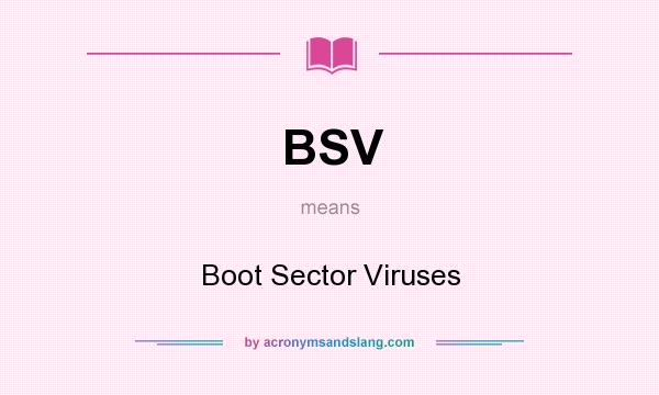 What does BSV mean? It stands for Boot Sector Viruses