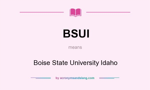 What does BSUI mean? It stands for Boise State University Idaho