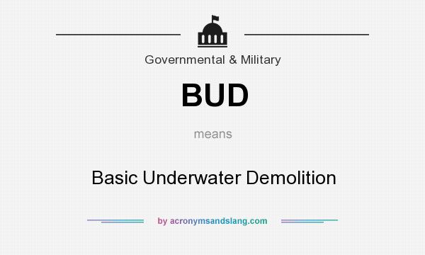 What does BUD mean? It stands for Basic Underwater Demolition