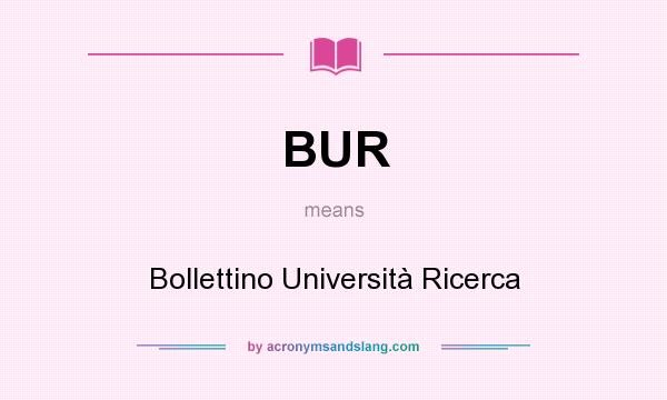 What does BUR mean? It stands for Bollettino Università Ricerca