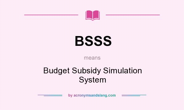 What does BSSS mean? It stands for Budget Subsidy Simulation System