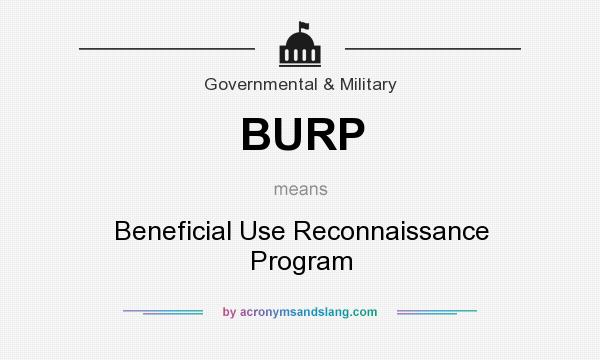 What does BURP mean? It stands for Beneficial Use Reconnaissance Program