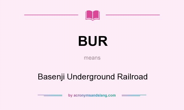 What does BUR mean? It stands for Basenji Underground Railroad