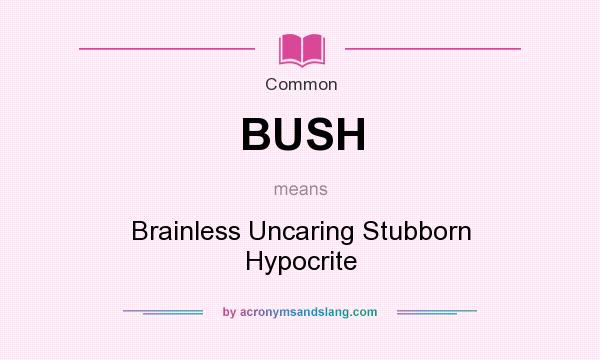 What does BUSH mean? It stands for Brainless Uncaring Stubborn Hypocrite