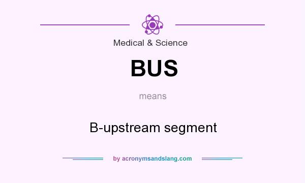 What does BUS mean? It stands for B-upstream segment