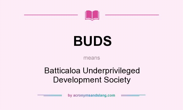 What does BUDS mean? It stands for Batticaloa Underprivileged Development Society