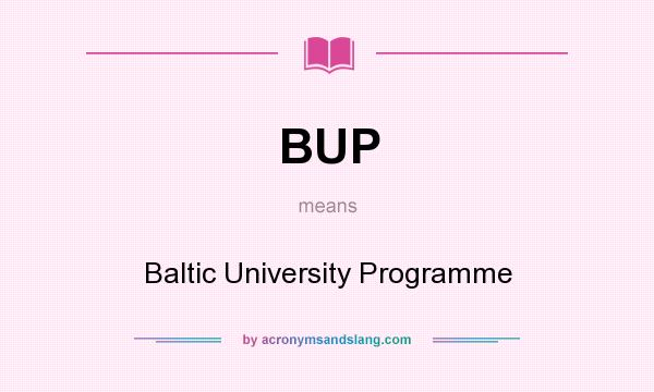 What does BUP mean? It stands for Baltic University Programme
