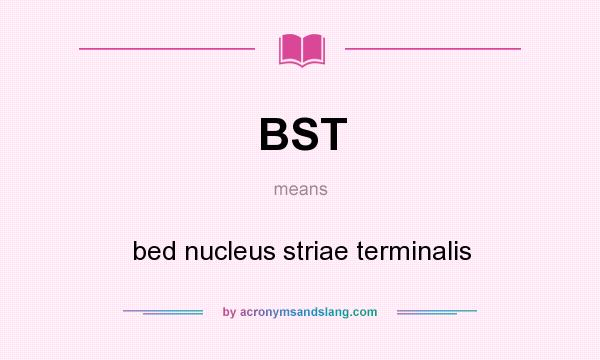 What does BST mean? It stands for bed nucleus striae terminalis