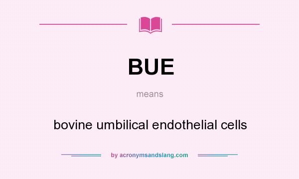 What does BUE mean? It stands for bovine umbilical endothelial cells