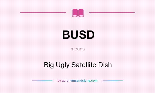What does BUSD mean? It stands for Big Ugly Satellite Dish